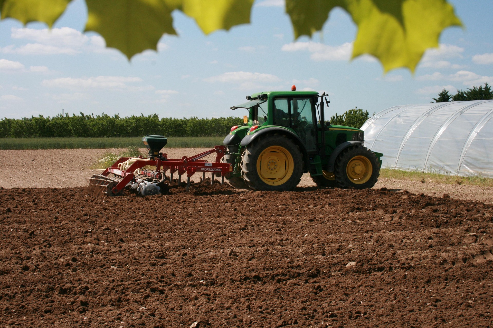 Incentivi per l'Ammodernamento delle aziende agricole in Umbria